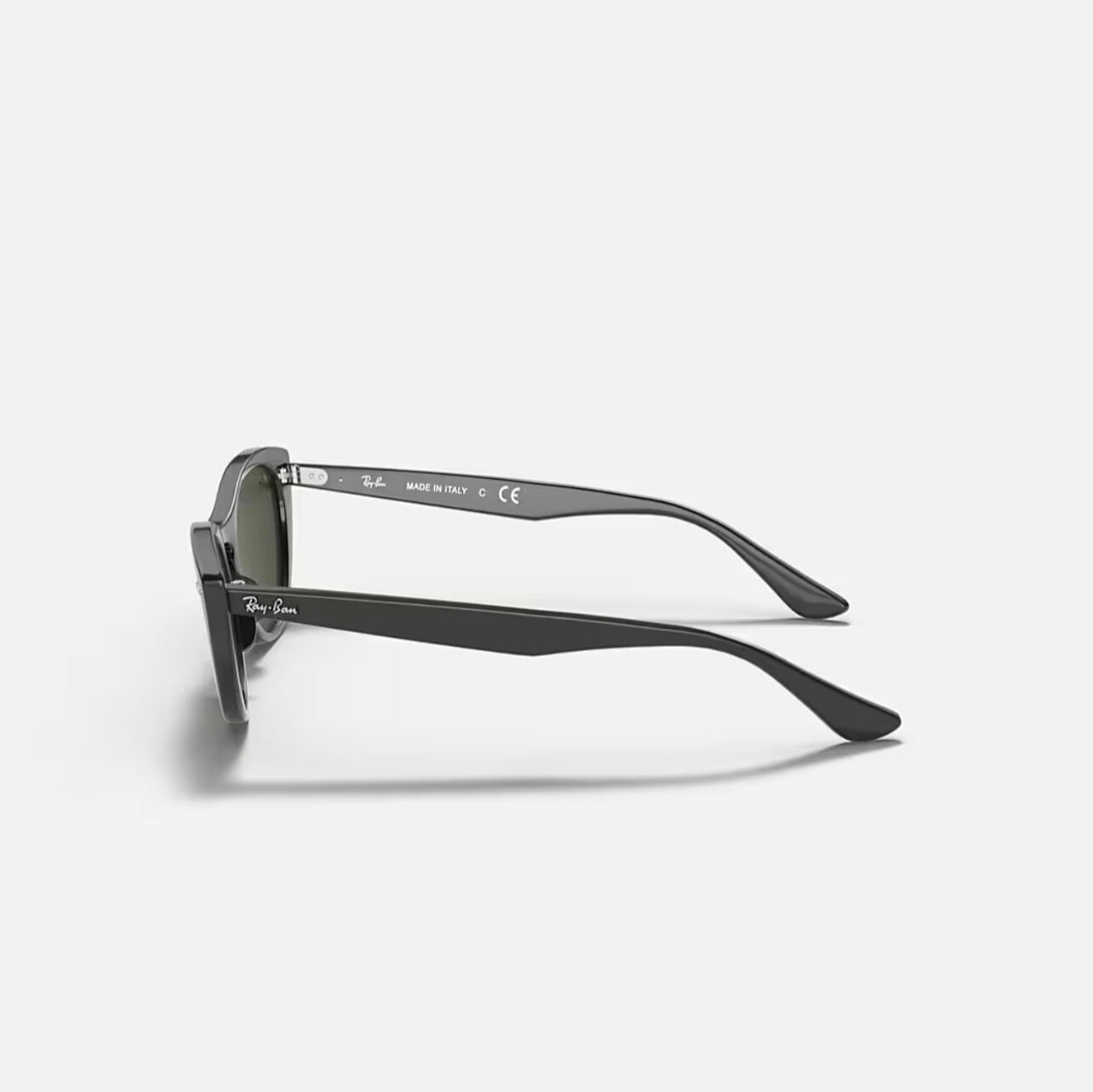 Ray-Ban NINA Polished Black Frame Green Lens RB4314N 601/31 54-18